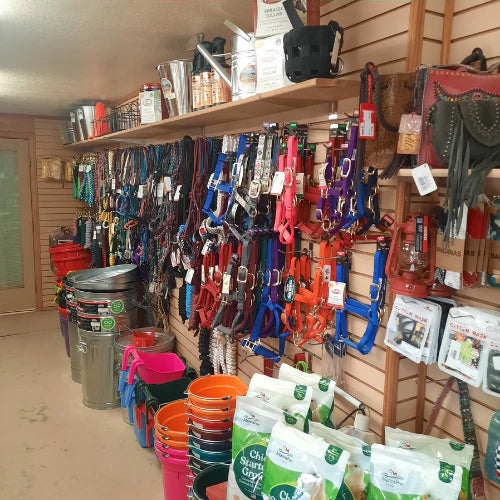 Store interior showcasing colorful horse tack including bridles and halters on the wall. Brightly colored buckets and horse feed bags are neatly arranged below.