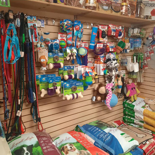 Pet store aisle with a variety of colorful dog toys, leashes, and accessories hanging on a wall. Bags of pet food are stacked at the bottom. Bright and inviting atmosphere.
